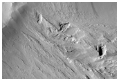 East Amazonis Region
