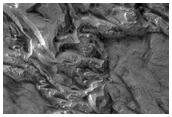 Layered Material in Spallanzani Crater