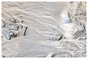 Alluvial Fans in Mojave Crater: Did It Rain on Mars?