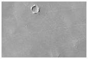 Sample Surface Texture, Roughness, and Small-Scale Morphology