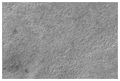 Northern Plains Sample