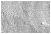 Patterned Ground Sample