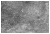 Nothern Plains Sample