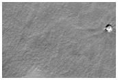 Northern Plains Sample