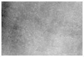 Northern Plains Sample