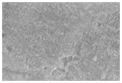 Northern Plains Sample