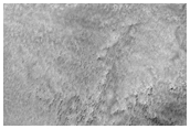 Northern Plains Sample