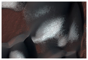 Dune Field in Wirtz Crater