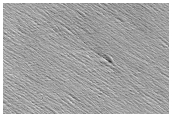 Minio Vallis