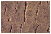 Pits, Cracks, and Polygons in Western Utopia Planitia