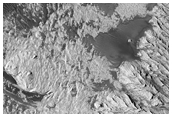 Tithonium Chasma Central - High Albedo and Night Infrared Target