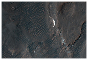 Holden Crater Terraces 