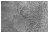Possible Phoenix Lander Landing Site