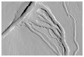 Channels South of the Base of Ascraeus Mons 