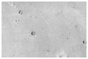 Light Mounds in Acidalia Planitia 