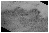 Cryptic Terrain Evolution 