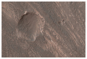 Possible MSL Rover Landing Site; Terby Crater