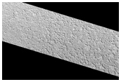 Fast Evolution of Landforms on the Southern Residual Cap 