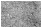 Northern Rocky Lowlands