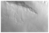 Pristine-Looking Gully 