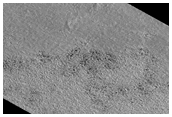 Cryptic Terrain Evolution 