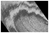 South Polar Region 