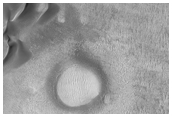 Intriguing Dark Dunes in Proctor Crater
