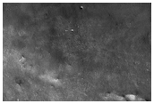 Frost Streaks in Early Southern Spring 