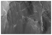 Putative Sulfates in Tithonium Chasma