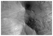 Possible Granitoid Unit in Syrtis Major