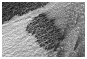 South Polar Monitoring of Oswego Regions
