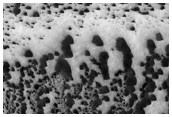 Ithaca Monitoring