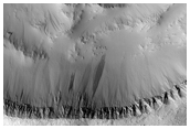 Relatively Large Primary Crater on Elysiu Planitia Young Lavas