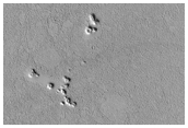 Cones on Lava Flows in the Tartarus Colles