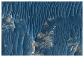 West Candor Layering