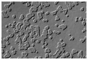 South Polar Ice Cap Swiss Cheese Terrain