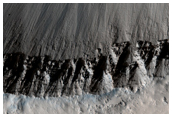 Relatively Large Primary Crater on Elysium Planitia Young Lavas