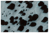 South Polar Monitoring - Starfish Feature