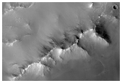 Phyllosilicate Diversity West of Nili Fossae