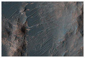 Uzboi Vallis Basin