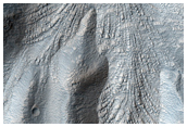 Gullies and Flow Features Along Crater Wall in Eastern Hellas Region
