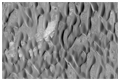 Dark Dunes in Herschel Crater