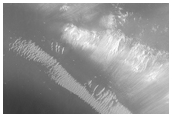 Unusual Albedo Patterns Seen in MOC Images - Low Area, Possible Salt Flats