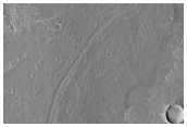 Flows in Daedalia Planum