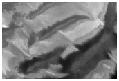 Dunes Near Ulyxis Rupes