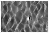 Crater Southwest of Herschel Crater with Dune Field