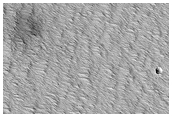 New Dark Spot Impact Crater