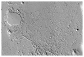 Ring and Cone Structures and Platy-Ridged Terrain in Amazonis Planitia