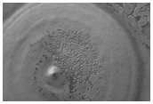 Circular Feature Which Looks Like Subsidence and Collapse