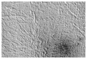 New Dark Spot Crater